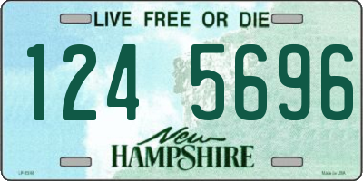 NH license plate 1245696