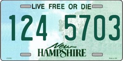 NH license plate 1245703