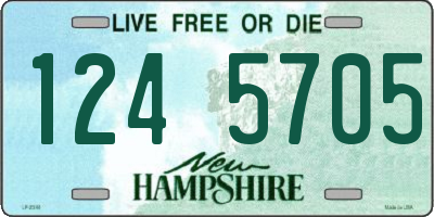 NH license plate 1245705