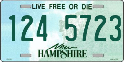NH license plate 1245723