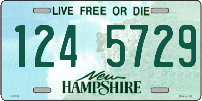 NH license plate 1245729