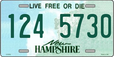 NH license plate 1245730
