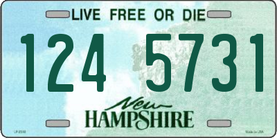NH license plate 1245731
