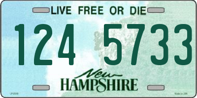 NH license plate 1245733