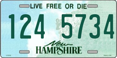 NH license plate 1245734