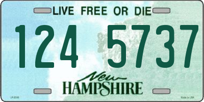NH license plate 1245737