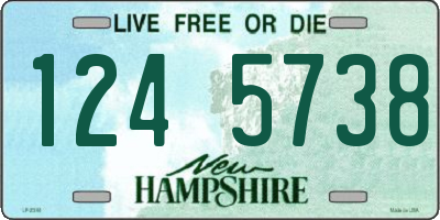 NH license plate 1245738