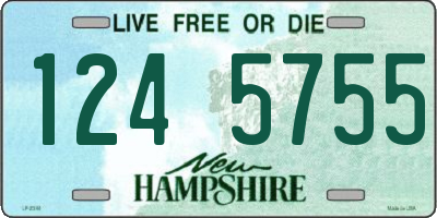 NH license plate 1245755