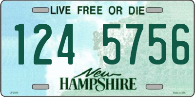 NH license plate 1245756