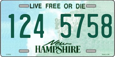 NH license plate 1245758