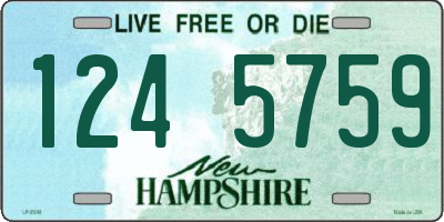 NH license plate 1245759
