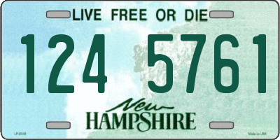 NH license plate 1245761