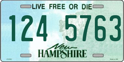 NH license plate 1245763
