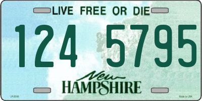 NH license plate 1245795