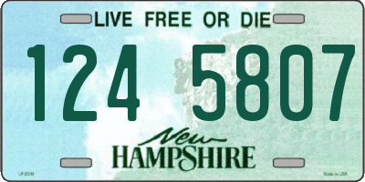 NH license plate 1245807