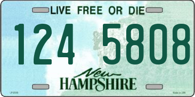 NH license plate 1245808