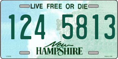 NH license plate 1245813