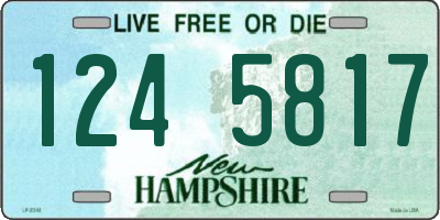 NH license plate 1245817