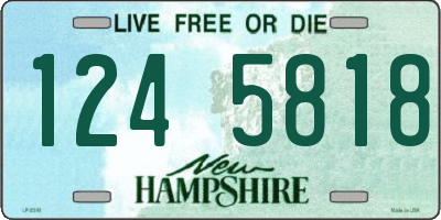 NH license plate 1245818
