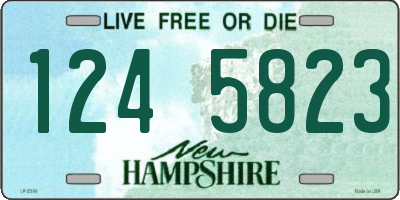NH license plate 1245823