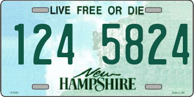 NH license plate 1245824