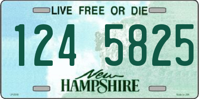 NH license plate 1245825
