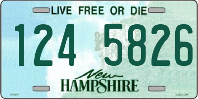 NH license plate 1245826