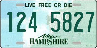 NH license plate 1245827
