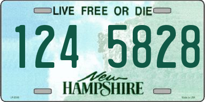 NH license plate 1245828
