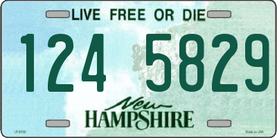 NH license plate 1245829