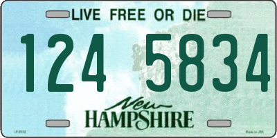 NH license plate 1245834