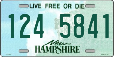 NH license plate 1245841