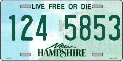 NH license plate 1245853