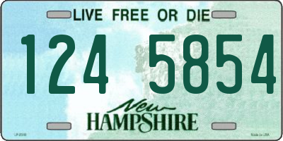 NH license plate 1245854