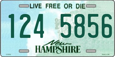 NH license plate 1245856
