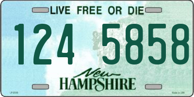 NH license plate 1245858