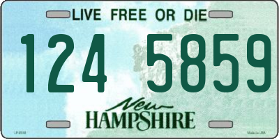 NH license plate 1245859