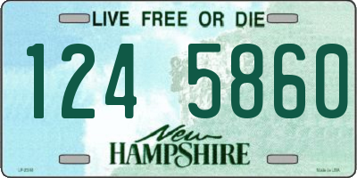 NH license plate 1245860