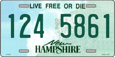 NH license plate 1245861