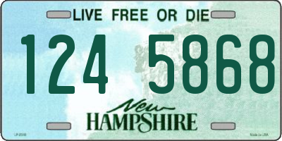 NH license plate 1245868