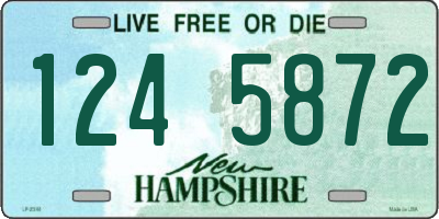 NH license plate 1245872