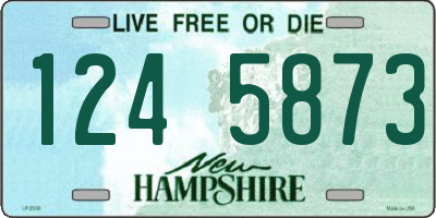 NH license plate 1245873