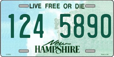 NH license plate 1245890