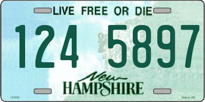 NH license plate 1245897