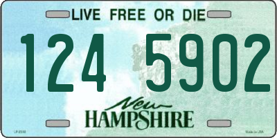 NH license plate 1245902