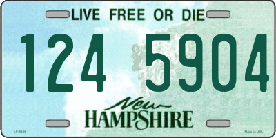 NH license plate 1245904