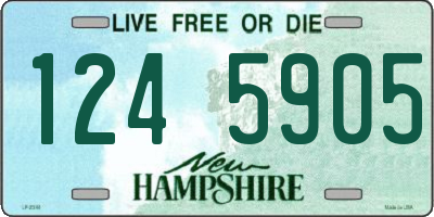 NH license plate 1245905