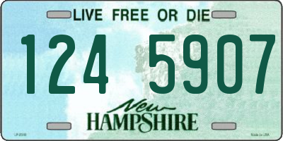NH license plate 1245907