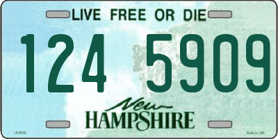 NH license plate 1245909
