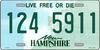 NH license plate 1245911